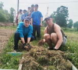Работа на огороде